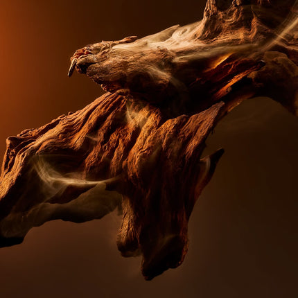 Oud: il profumo più prezioso al mondo — storia, significato e come riconoscerlo