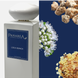PANAREA ACQUA CLASSICA EAU DE PARFUM LISCA BIANCA 100 ML - 2