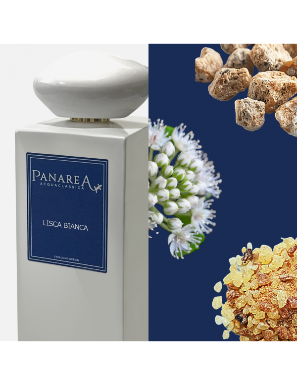 PANAREA ACQUA CLASSICA EAU DE PARFUM LISCA BIANCA 100 ML - 2